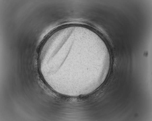 X0000115511360200912041052