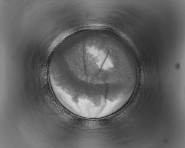 X0000115511362200912041052