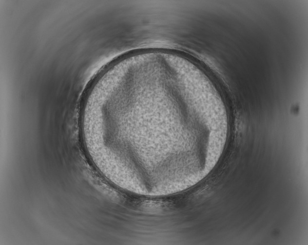 X0000115511364200912041051