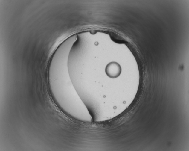 X0000115511365200912041051