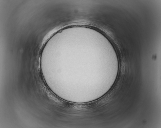 X0000115511366200912041051