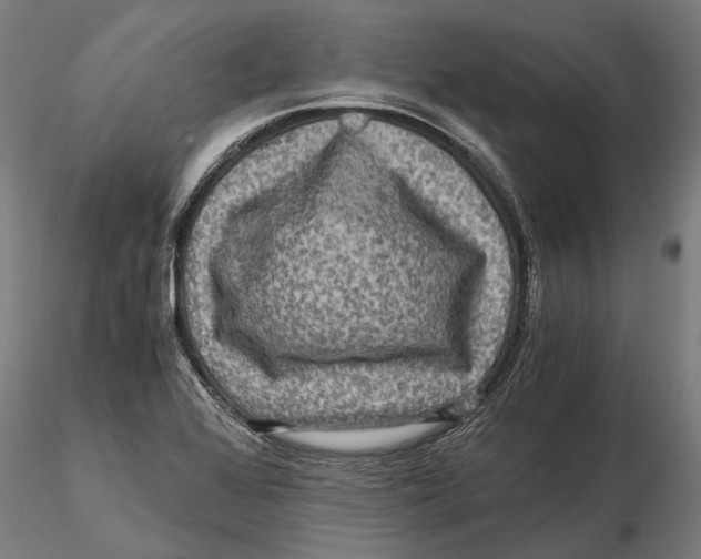 X0000115511368200912041051