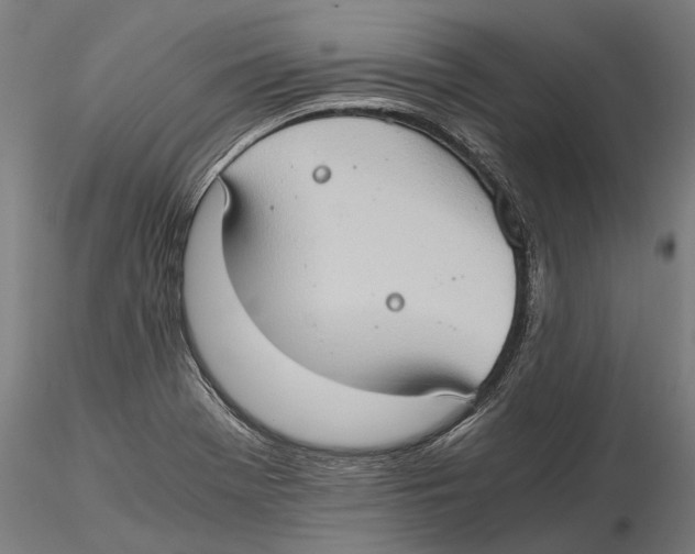 X0000115511369200912041051