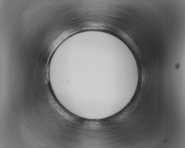 X0000115511370200912041051