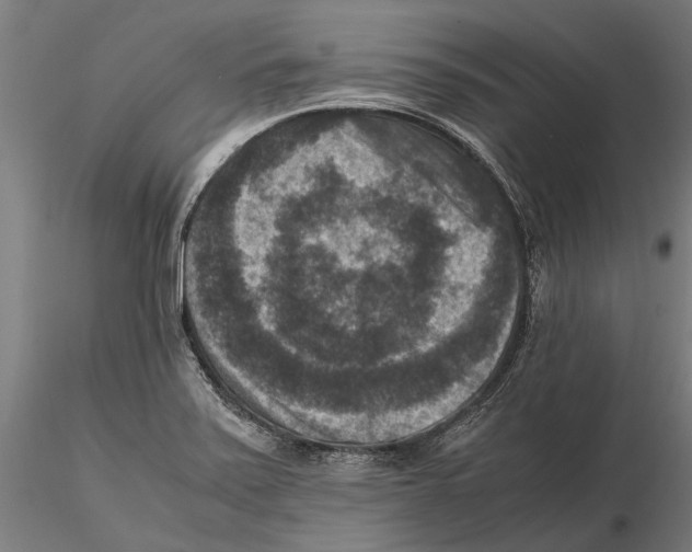 X0000115511371200912041051