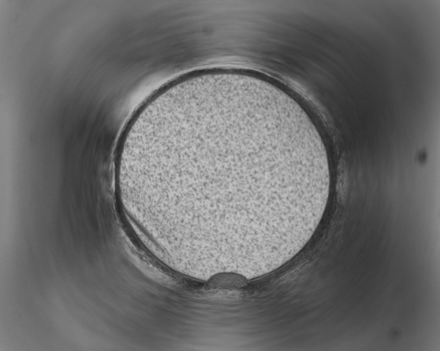 X0000115511372200912041051