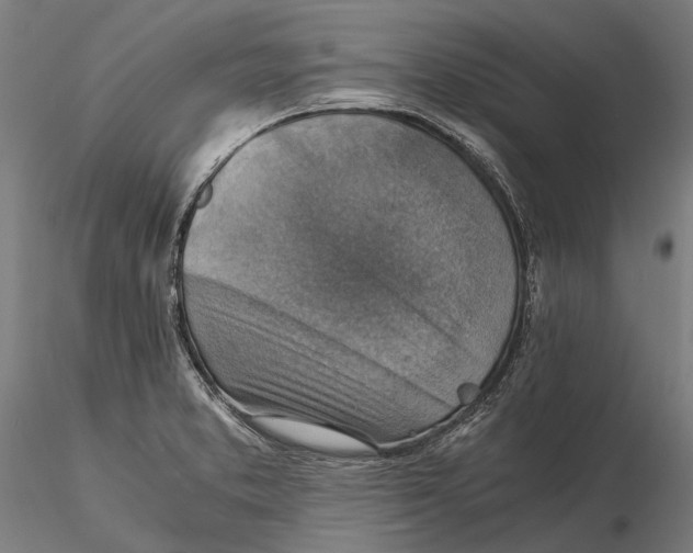 X0000115511373200912041051