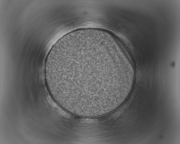 X0000115511374200912041051