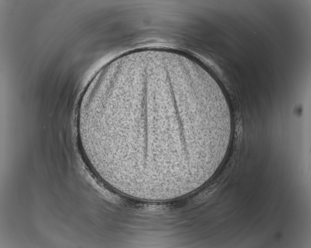 X0000115511375200912041051