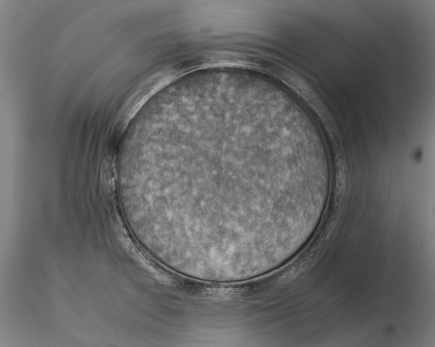 X0000115511377200912041051