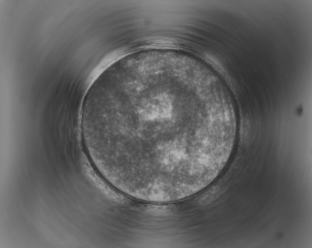 X0000115511378200912041051