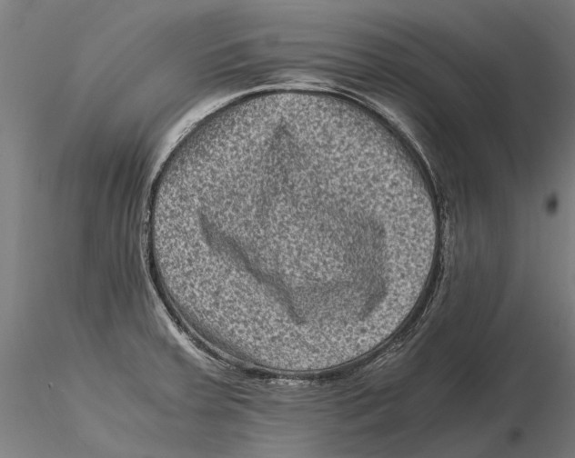 X0000115511379200912041051