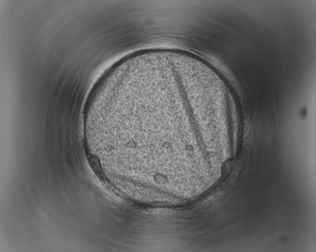 X0000115511380200912041051