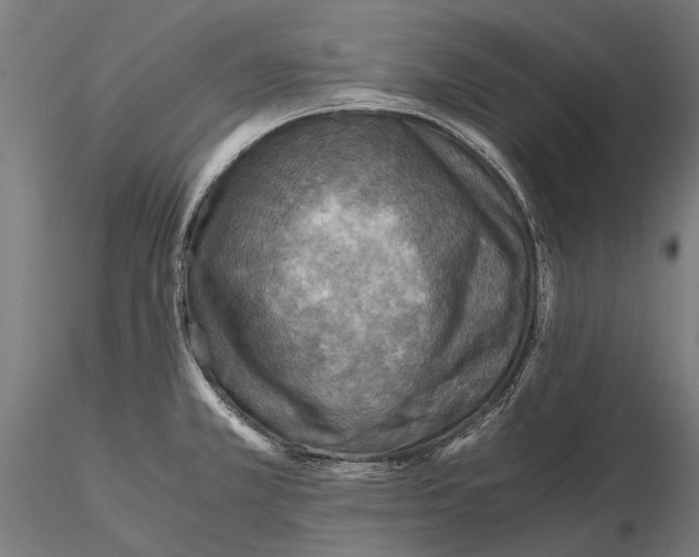 X0000115511381200912041051