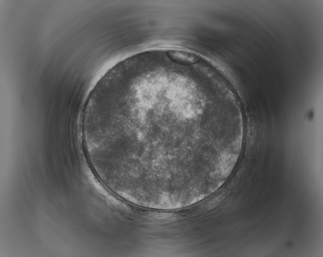 X0000115511382200912041051