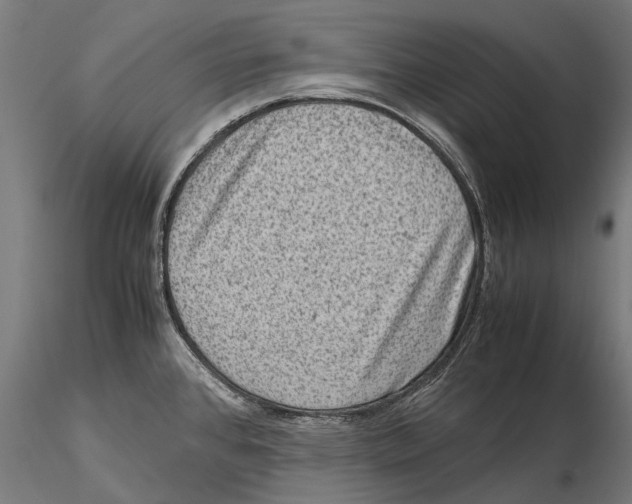 X0000115511384200912041051