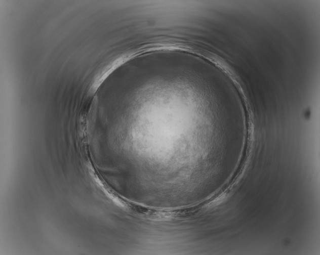 X0000115511385200912041051