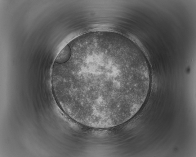 X0000115511386200912041051