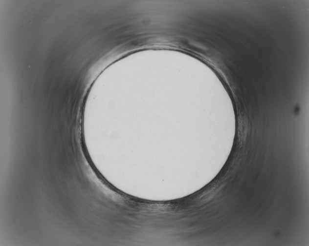 X0000115511387200912041051