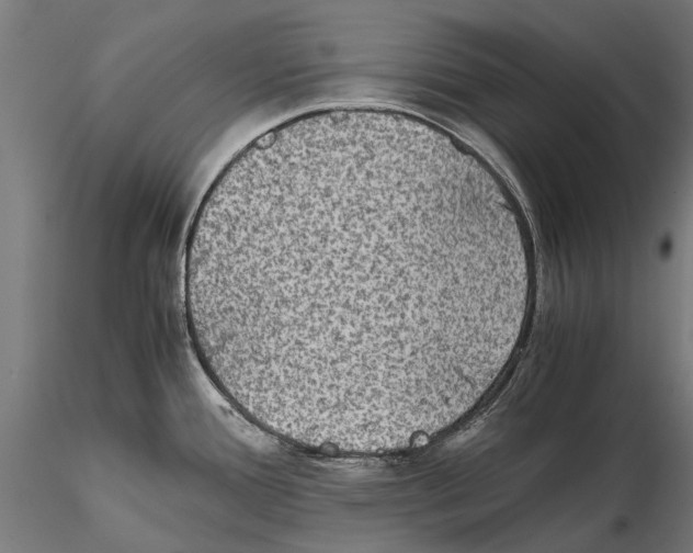 X0000115511388200912041051