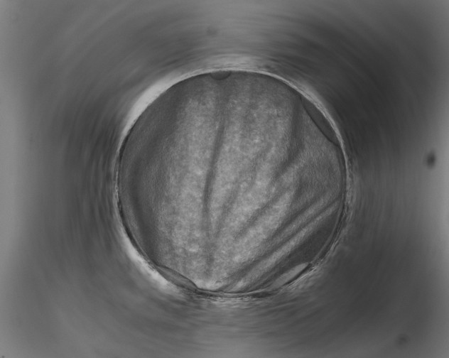 X0000115511389200912041051