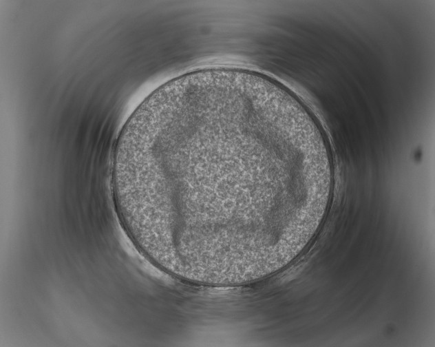 X0000115511390200912041051