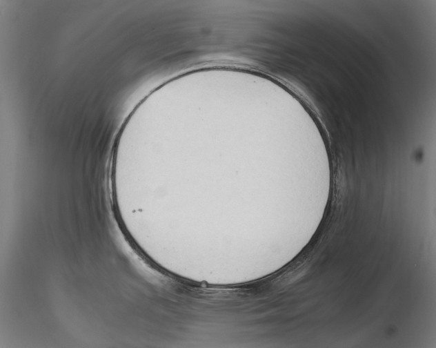 X0000115511391200912041051