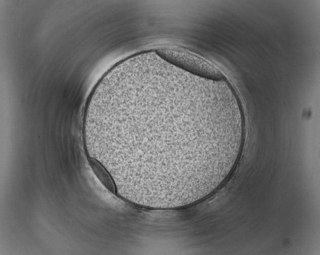 X0000115511392200912041051