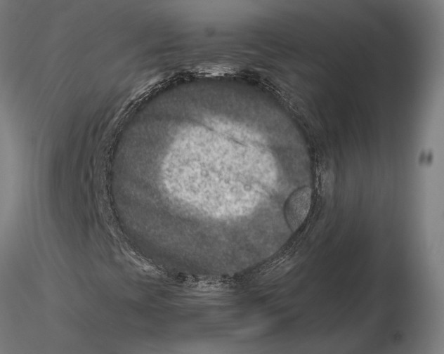 X0000115511393200912041050