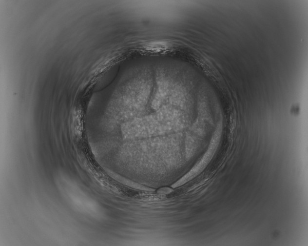 X0000115511394200912041050