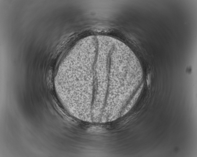 X0000115511396200912041050