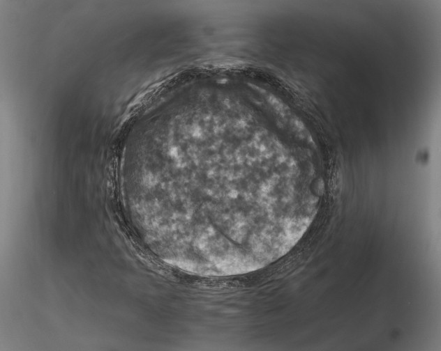 X0000115511397200912041050