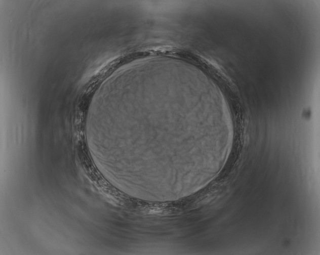 X0000115511399200912041050