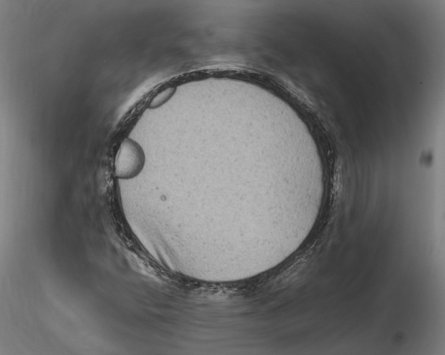 X0000115511400200912041050