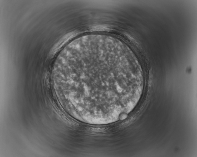 X0000115511401200912041050