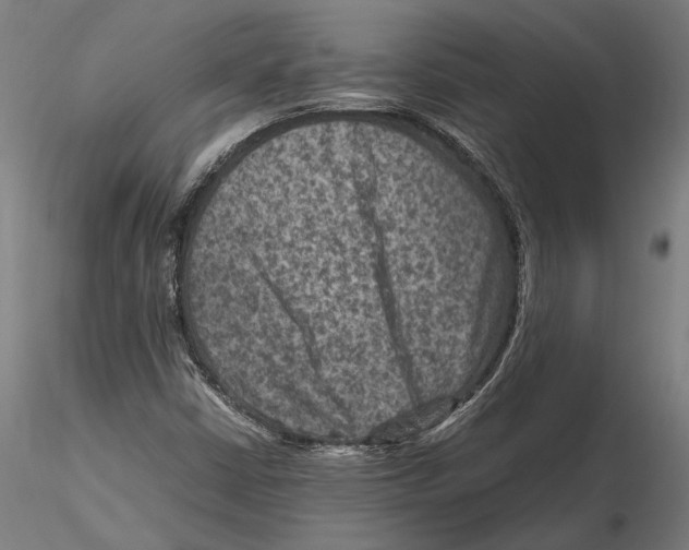 X0000115511402200912041050