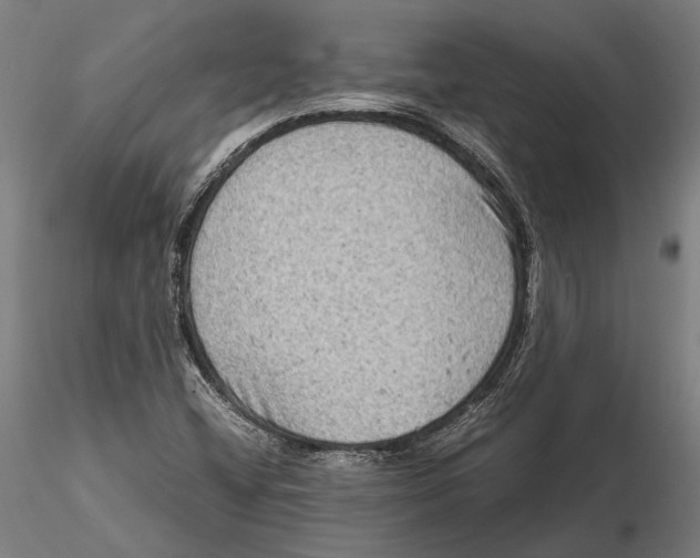 X0000115511404200912041050