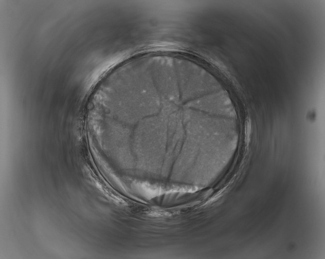 X0000115511405200912041050