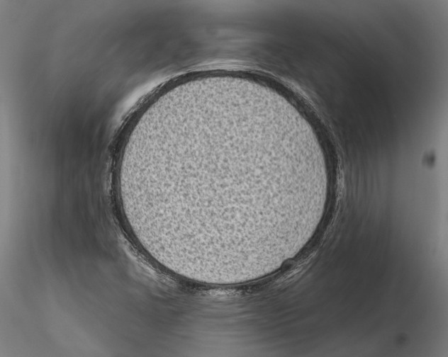 X0000115511406200912041050