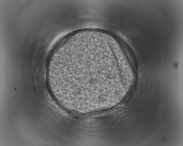 X0000115511408200912041050