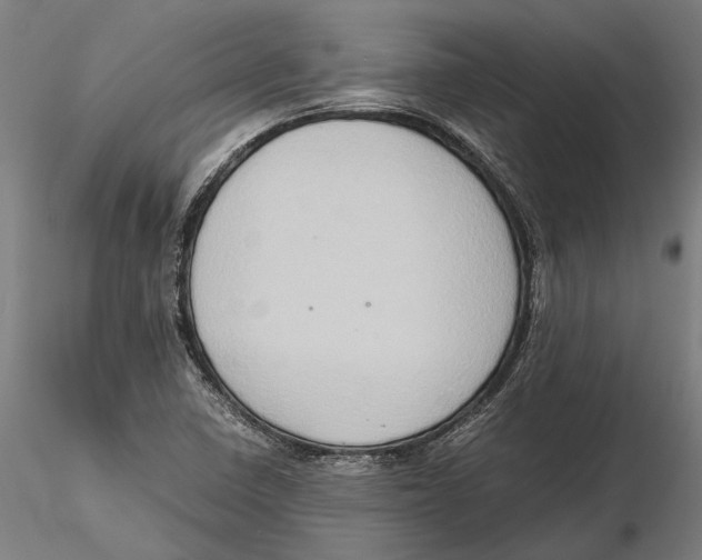 X0000115511410200912041051