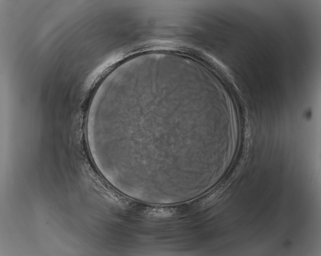 X0000115511411200912041051