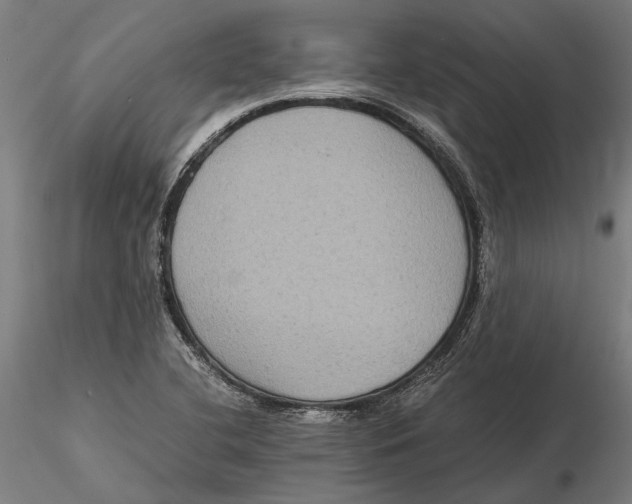 X0000115511412200912041051