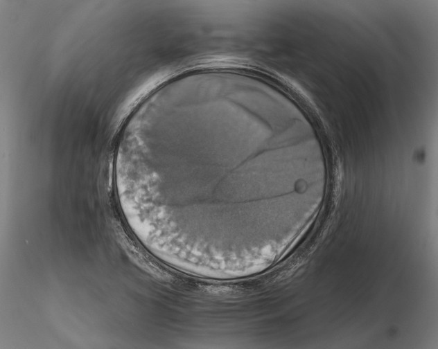 X0000115511413200912041051