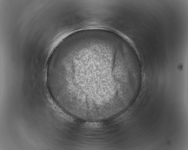 X0000115511415200912041051