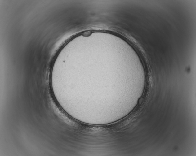 X0000115511416200912041051