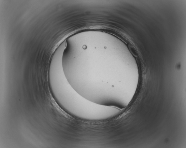 X0000115511417200912041051