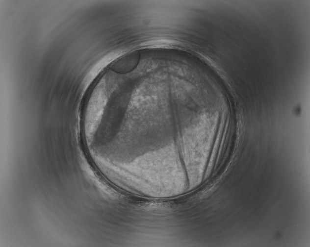 X0000115511418200912041051