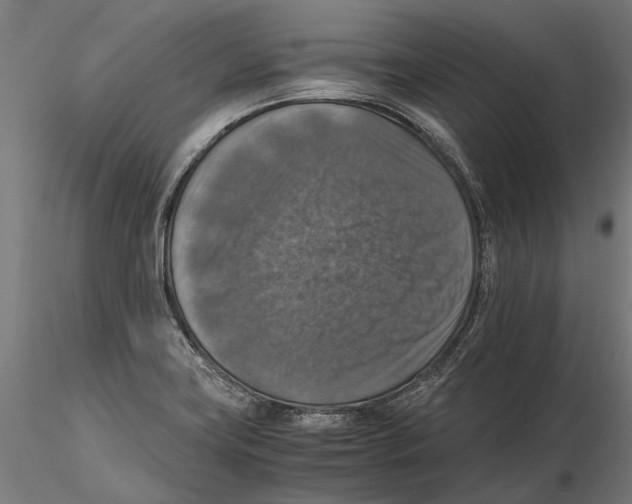 X0000115511419200912041051