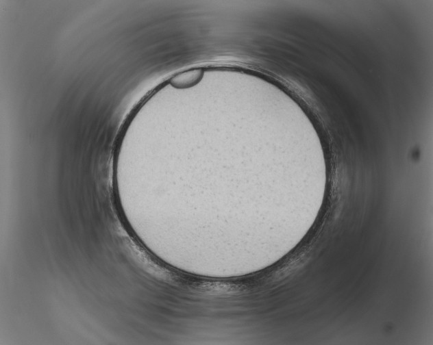 X0000115511420200912041051